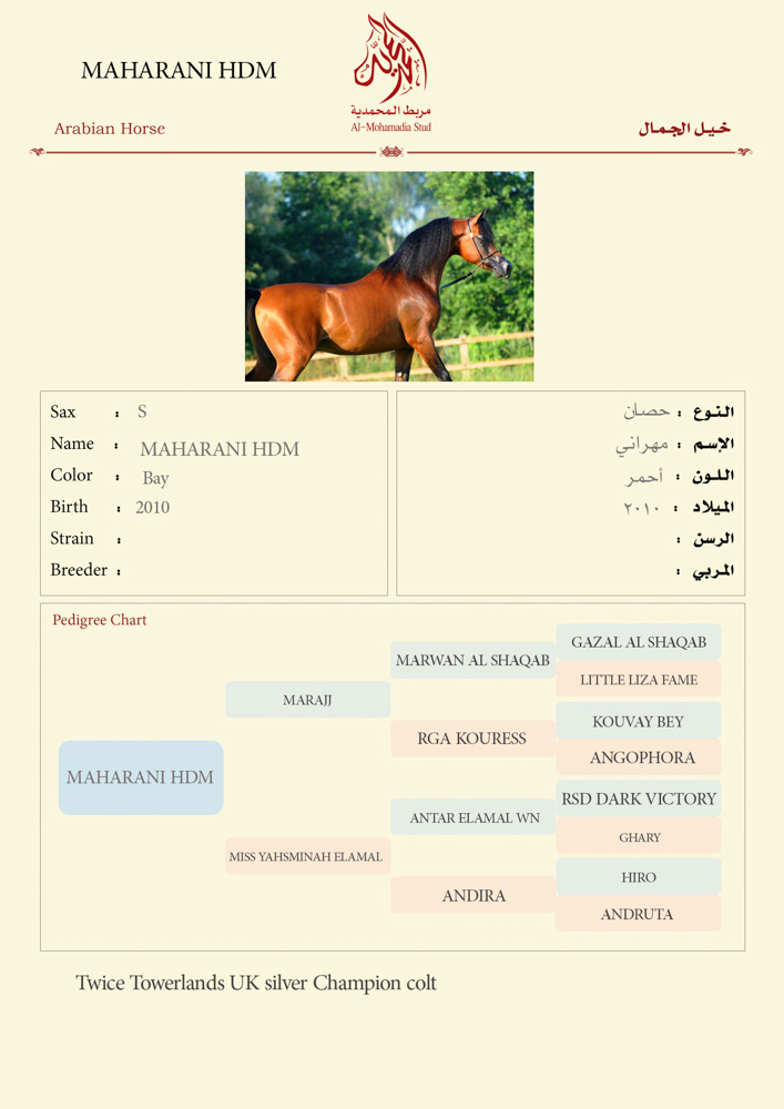 مطاعم مهراني السعوديه