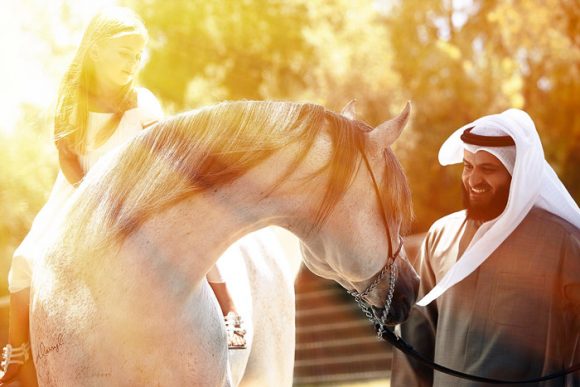 Zen and the Art of Falling in Love with Arabian Horses