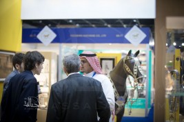 Dubai International Horse Fair to shine the spotlight on the scientific advances making equine healthcare as sustainable as it is digital