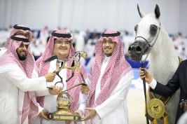 “Pepita” wins another gold medal in the Senior Mares Championship for Akmal Stud