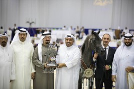 Rising star “EKS Farajj” wins Junior Colts Championship Silver for Al Khashab Stud in DIAHC 2019