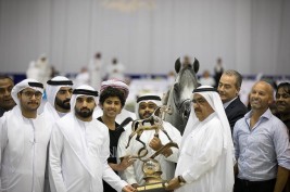 Sundown KA dominates the show to keep the Senior Stallions Championship Gold with Al Saqran Stud in DIAHC 2019