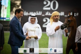 Dubai Arabian Horse Stud lands 2 gold medals in 2020 Ajman Arabian Horse Show