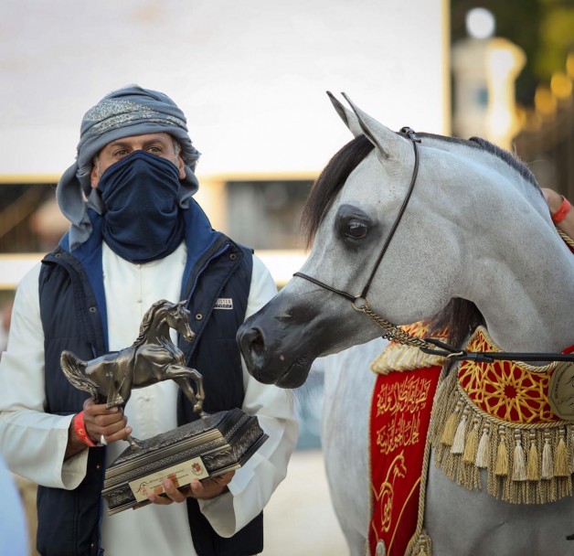 “سوبر هاتريك” ذهبي لمربط دبي في دولية أبوظبي لجمال الخيل 2021